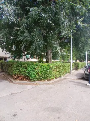 Il quartiere o una zona nella vicinanze dell'appartamento