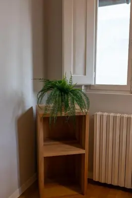 Planimetria di Maffia Simple Apartment