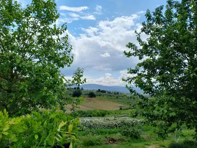 Paesaggio naturale nelle vicinanze dell'agriturismo