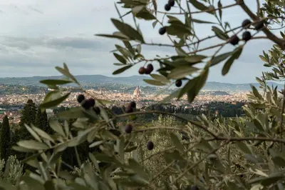Paesaggio naturale nelle vicinanze dell'agriturismo