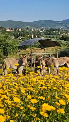Paesaggio naturale nelle vicinanze dell'agriturismo