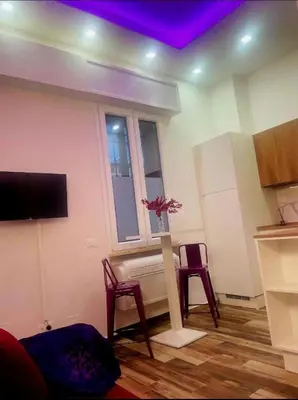 TV o dispositivi per l'intrattenimento presso Mini white apartment