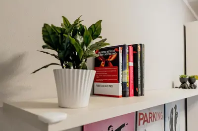 Biblioteca nell'appartamento