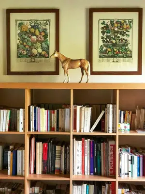 Biblioteca nella casa vacanze