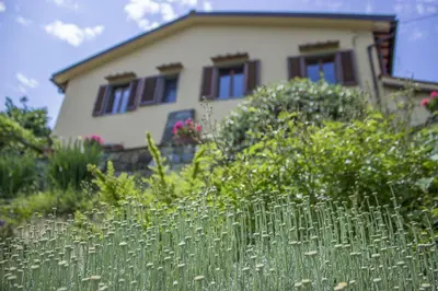 Giardino di Villa Porcigliano Olive Grove
