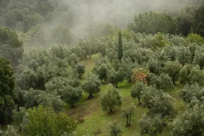 Paesaggio naturale nelle vicinanze dell'hotel