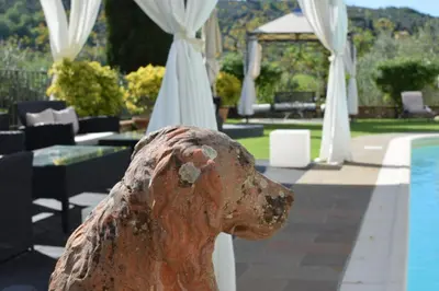 Piscina di Villa Il Sasso - Dimora d'Epoca o nelle vicinanze