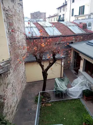 Balcone o terrazza di Appartamento Rifredi