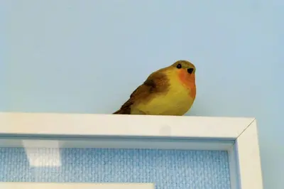 Altri animali domestici presso l'appartamento o nei dintorni