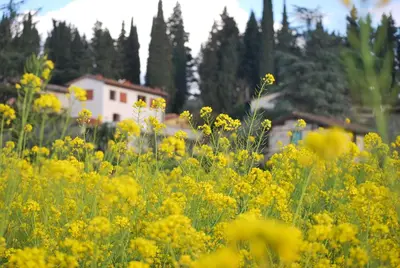 Giardino di Appartamento Piero