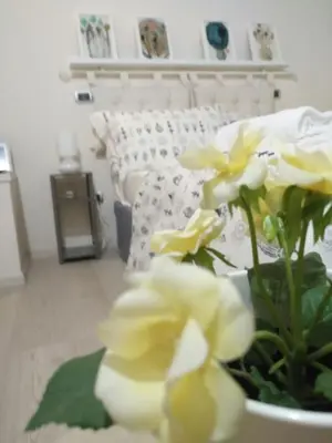 Planimetria di Bargello Guest House