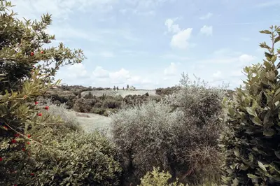 Paesaggio naturale nelle vicinanze dell'appartamento