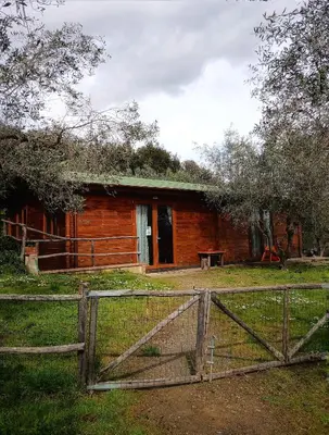 Edificio in cui si trova l'appartamento
