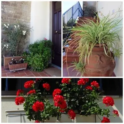 Giardino di Appartamento il Veggio