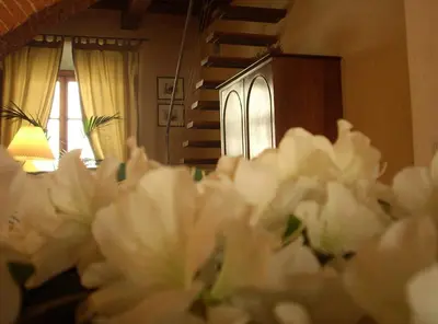Planimetria di Capri Moon Guest House