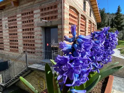 Giardino di Florence Villa Violetta