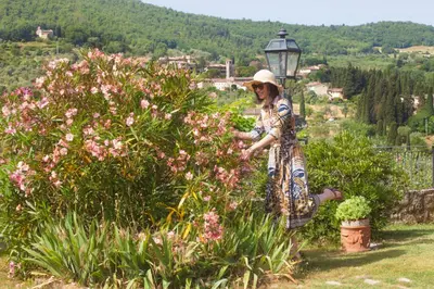 Ospiti di Florence Villa Violetta