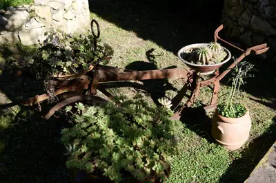 Giardino di Villa Gallorosso