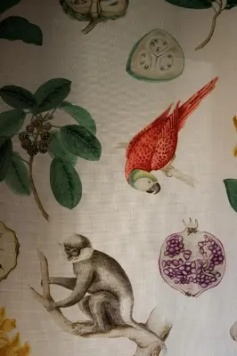 Altri animali domestici presso l'hotel o nei dintorni