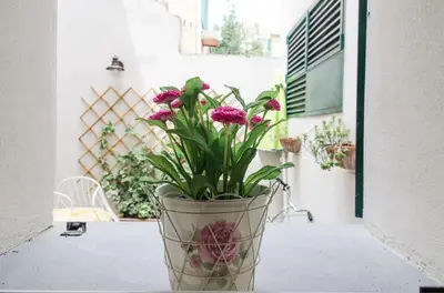 Planimetria di Agnolo garden & fresh market