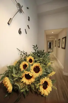 Planimetria di Alderotti Home