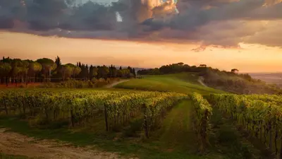 Paesaggio naturale nelle vicinanze dell'agriturismo