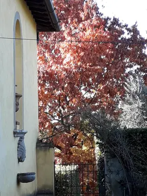 Planimetria di Villa Le Pergole- Firenze