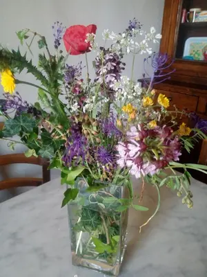 Planimetria di Villa Le Pergole- Firenze