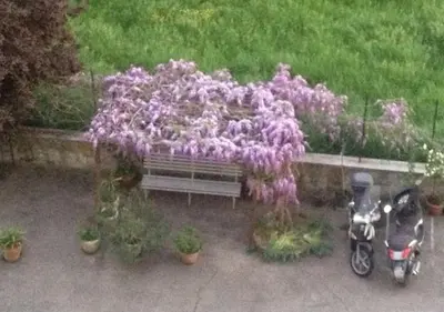 Giardino di Appartamento Zona Torregalli_Nuvola Rossa