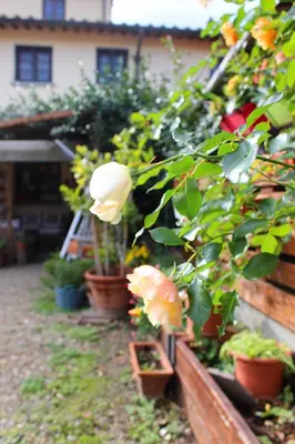 Giardino di Mina House