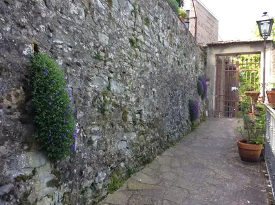 Planimetria di Casa Vacanze Amelia