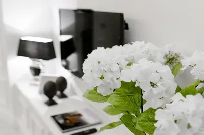 TV o dispositivi per l'intrattenimento presso Rinaldi Loft