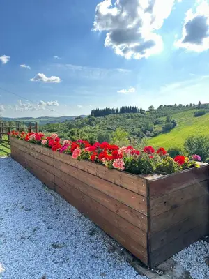 Giardino di Colle Del Sole