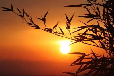 Alba o tramonto visti dall'interno dell'appartamento o dai dintorni