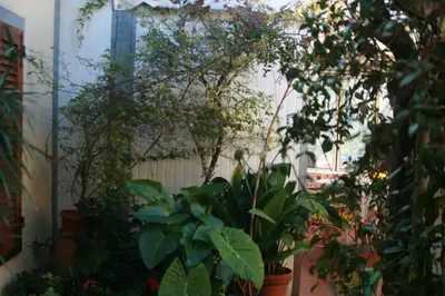 Giardino di Albergo Villa Sorriso