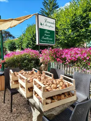 Giardino di Locanda di Bivigliano