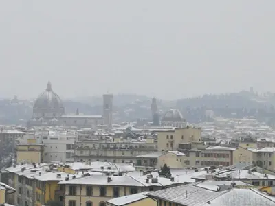 Il nido di Sofia durante l'inverno