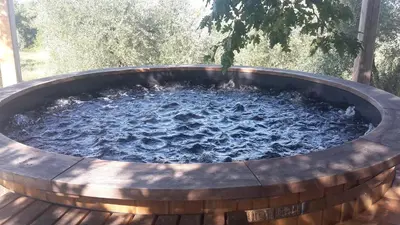 Planimetria di Bioagriturismo Poderaccio