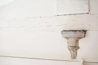 Planimetria di Santaelisabettafirenze1