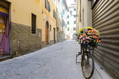 Attività di ciclismo presso l'appartamento o nelle vicinanze