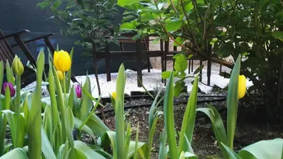 Giardino di Casa Deva