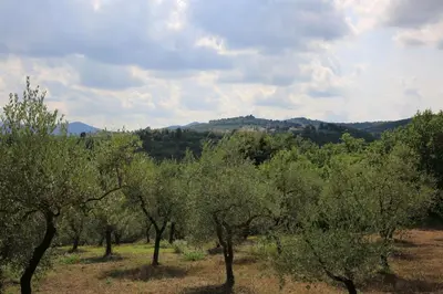 Paesaggio naturale nelle vicinanze della casa vacanze