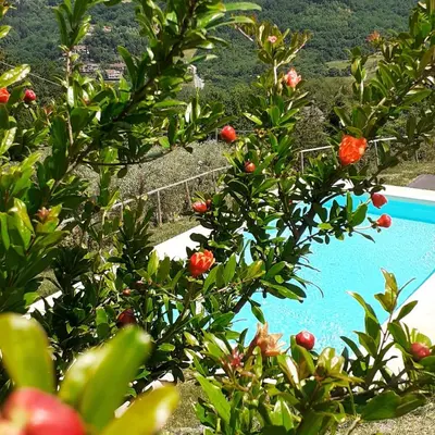 Paesaggio naturale nelle vicinanze della casa vacanze