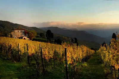 Paesaggio naturale nelle vicinanze dell'agriturismo