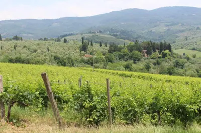 Paesaggio naturale nelle vicinanze dell'agriturismo