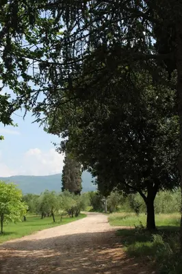 Paesaggio naturale nelle vicinanze dell'agriturismo