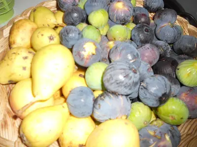 Cibo presso l'agriturismo o nelle vicinanze