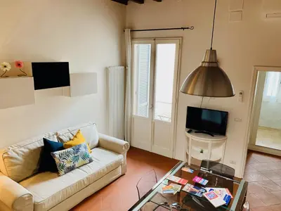 TV o dispositivi per l'intrattenimento presso Florence San Marco Apartment