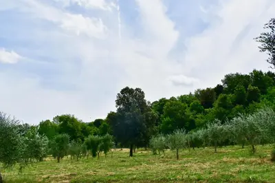Paesaggio naturale nelle vicinanze dell'aparthotel