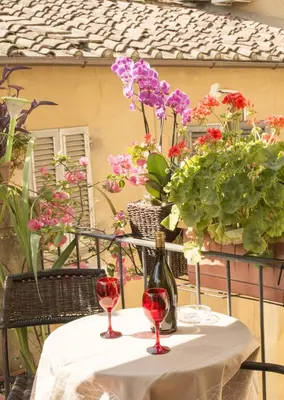 Giardino di La Corte Dei Principi - Residenza D'Epoca